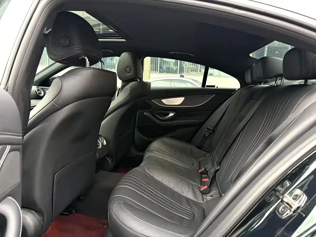 Mercedes-Benz CLS CLS 300 Luxury