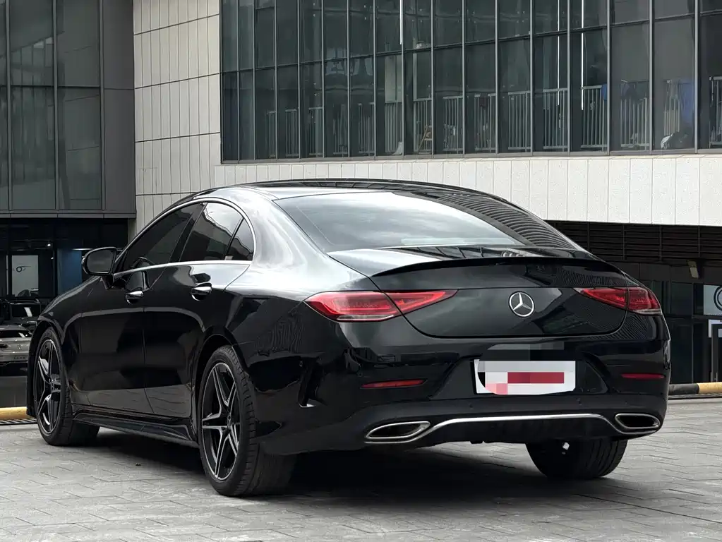 Mercedes-Benz CLS CLS 300 Luxury