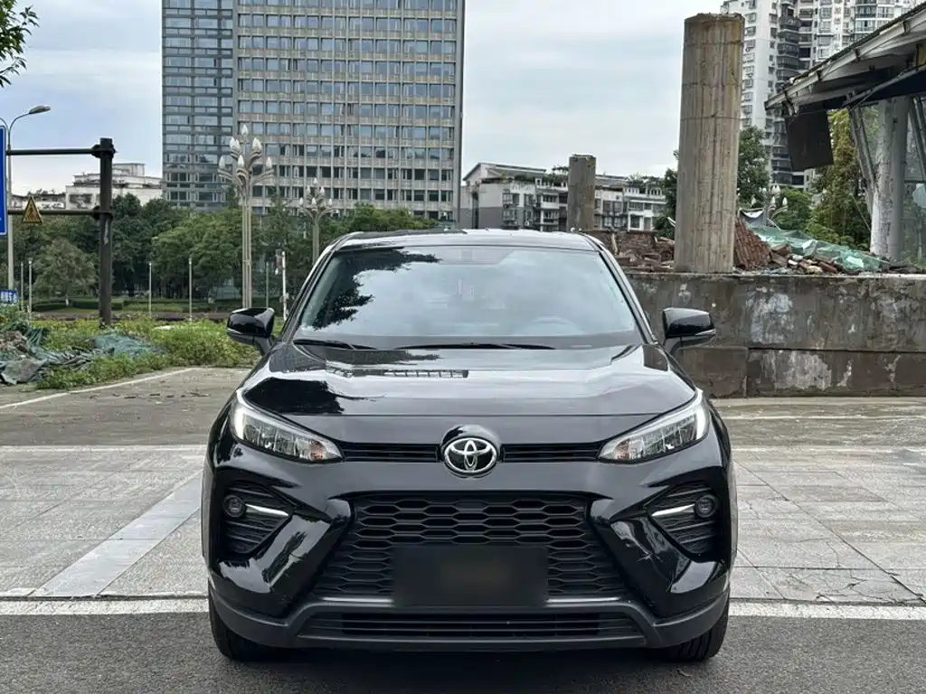 Wildlander 2.0 L CVT 2 WD Leading