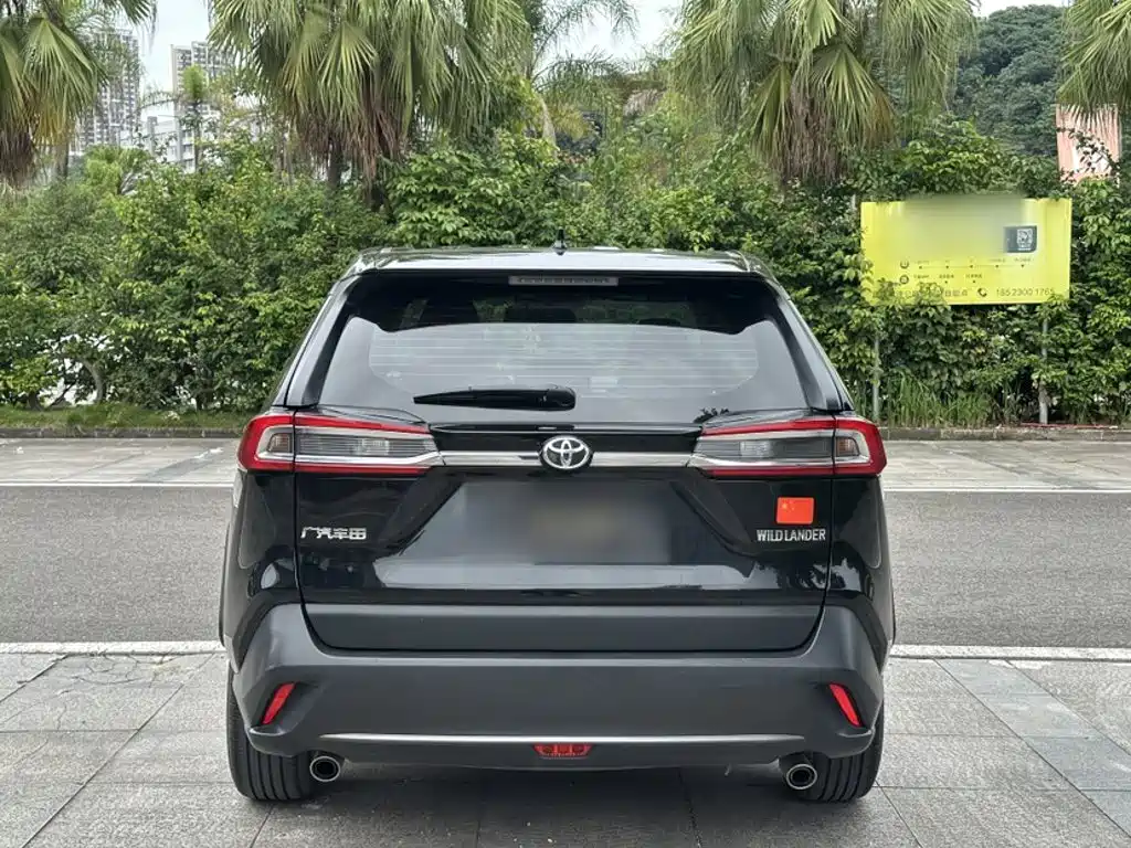 Wildlander 2.0 L CVT 2 WD Leading