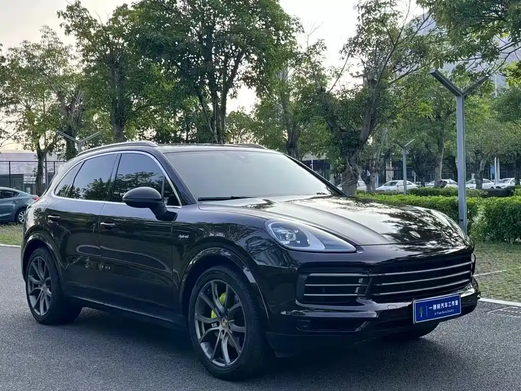 Cayenne NEV Cayenne E-Hybrid 2.0 T Platinum