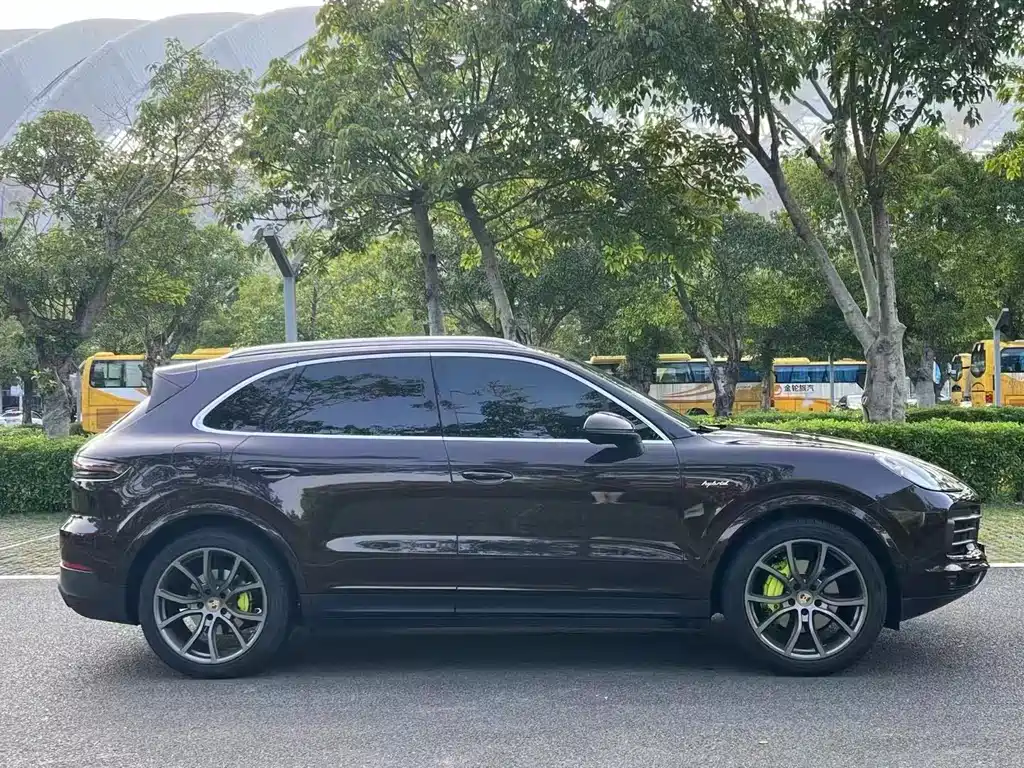 Cayenne NEV Cayenne E-Hybrid 2.0 T Platinum