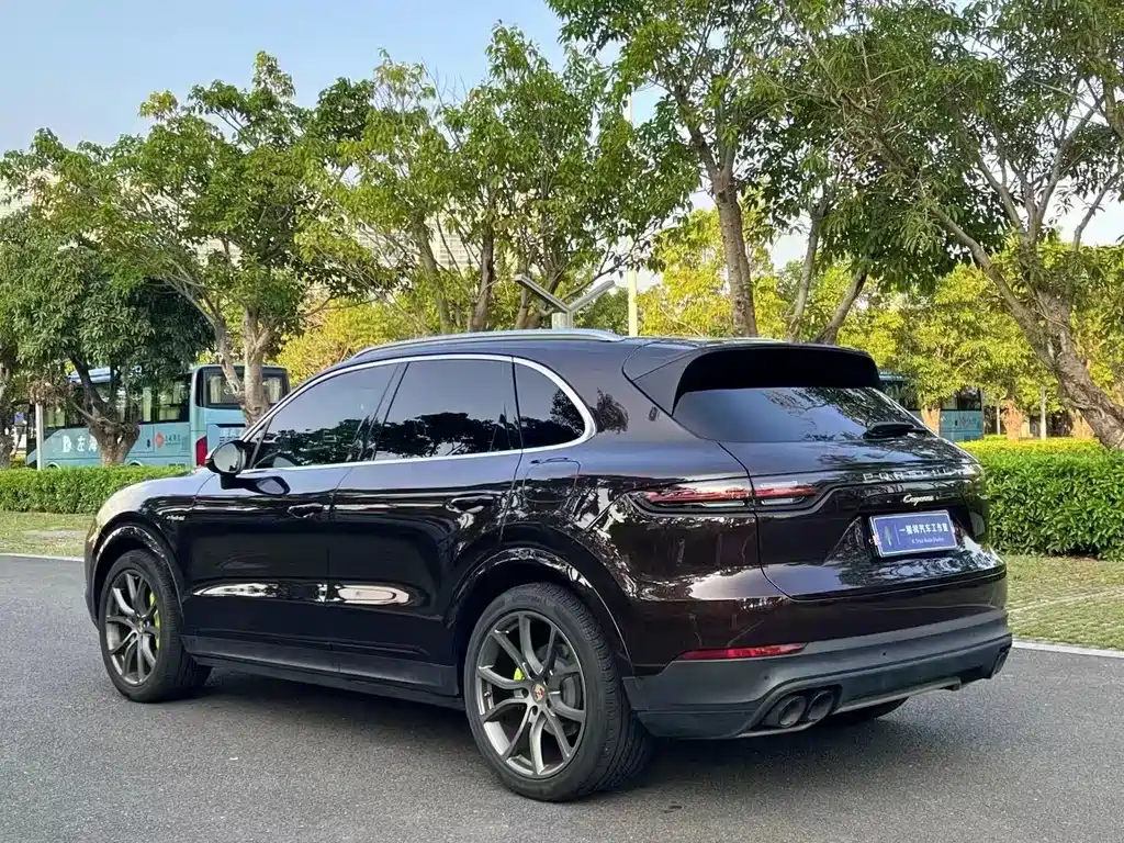 Cayenne NEV Cayenne E-Hybrid 2.0 T Platinum