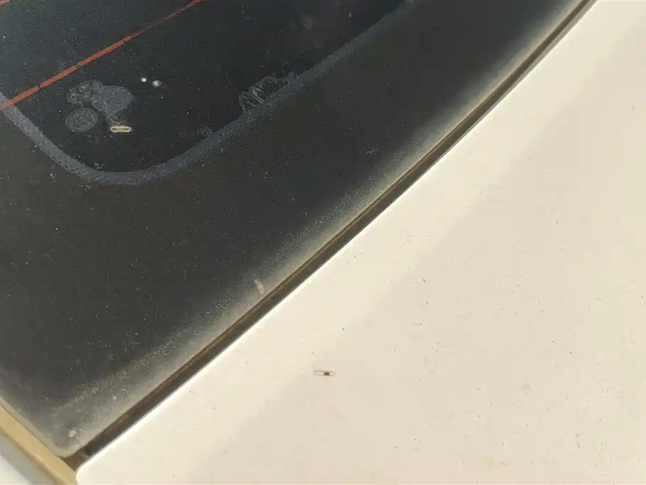 Verna 1.4 L Manual Cool GLS