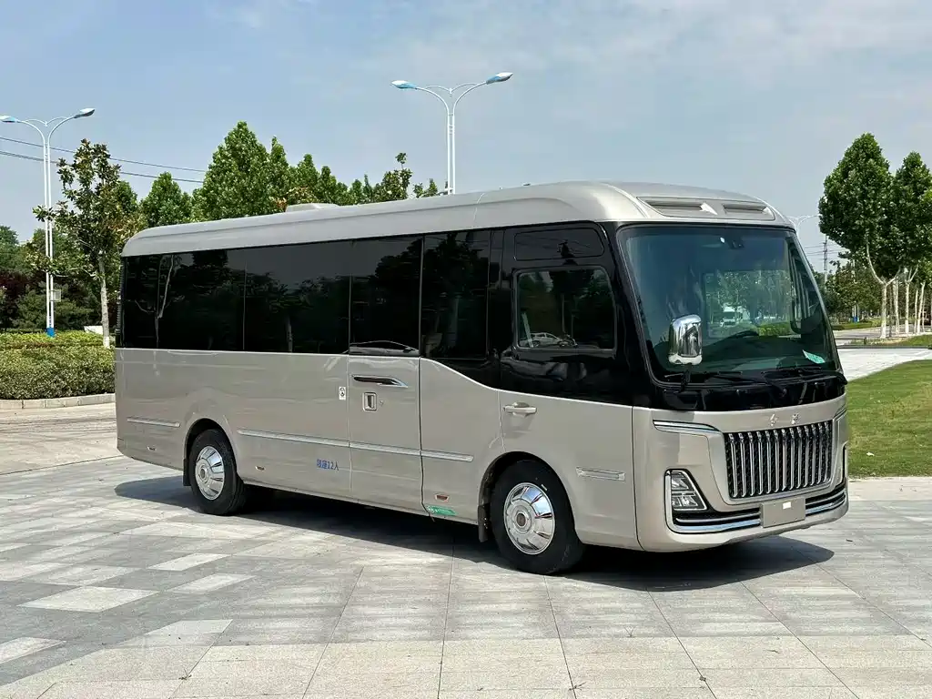 Hongqi Jinkuihua Guoyue 红旗金葵花国悦 2024款 3.0 T 商务版 12座