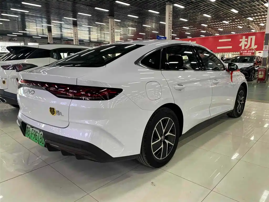 Qin L DM-i 120 KM Transcend