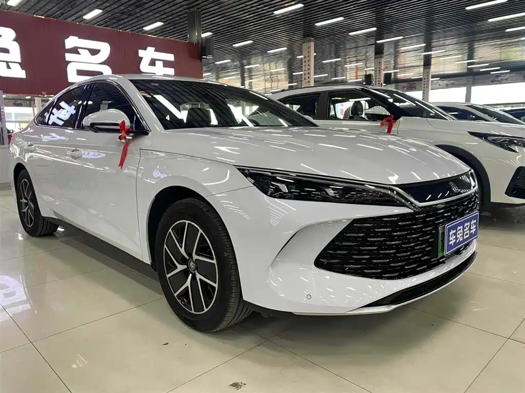 Qin L DM-i 120 KM Transcend