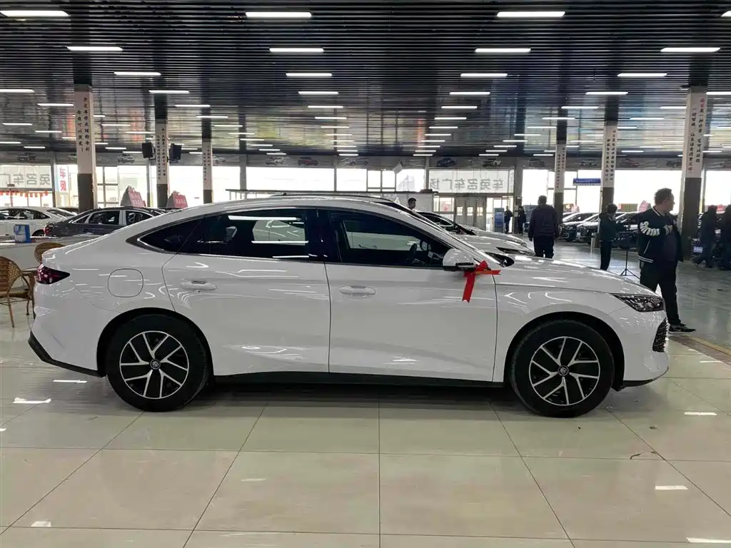 Qin L DM-i 120 KM Transcend