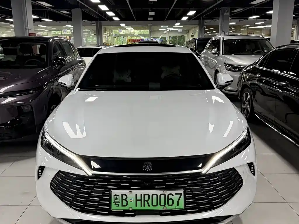 Qin L DM-i Smart Drive 80 KM Transcend