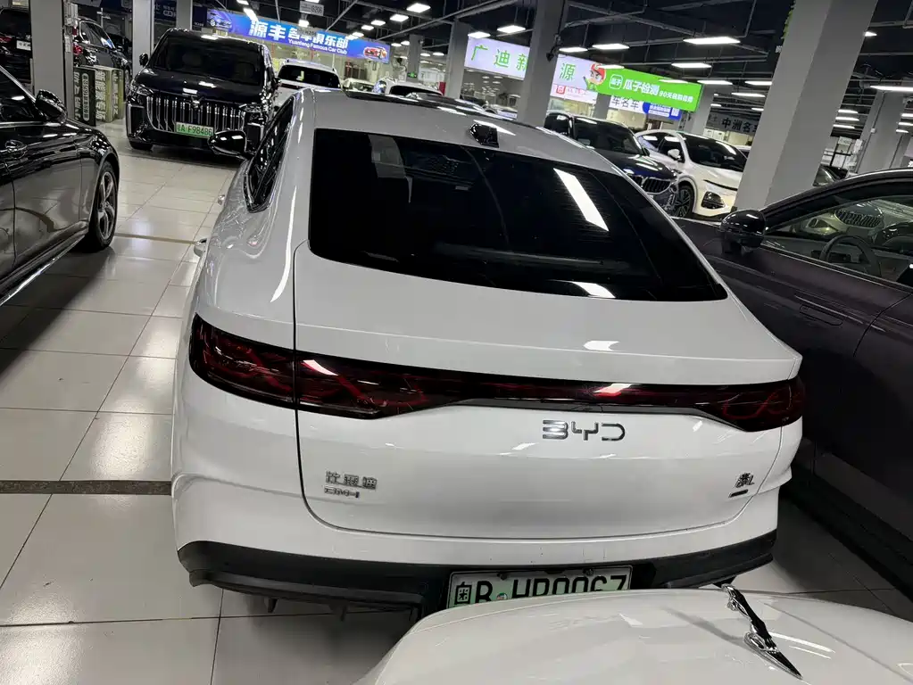 Qin L DM-i Smart Drive 80 KM Transcend