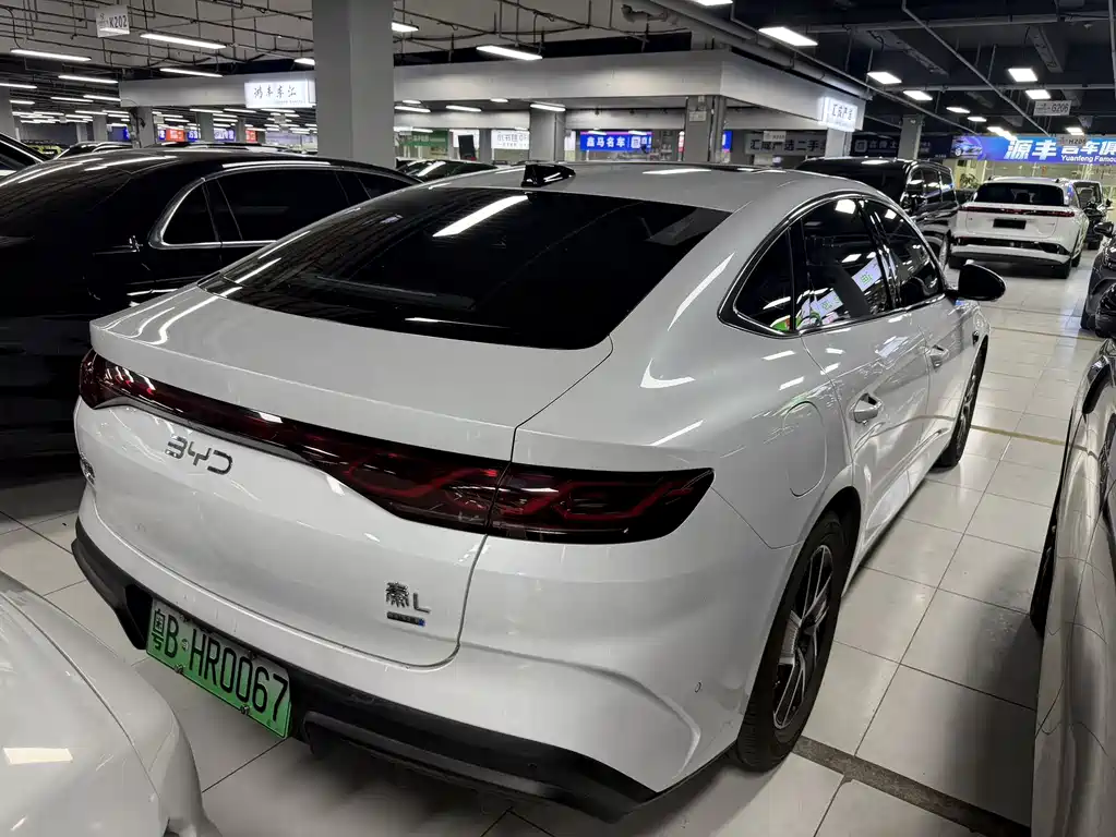 Qin L DM-i Smart Drive 80 KM Transcend