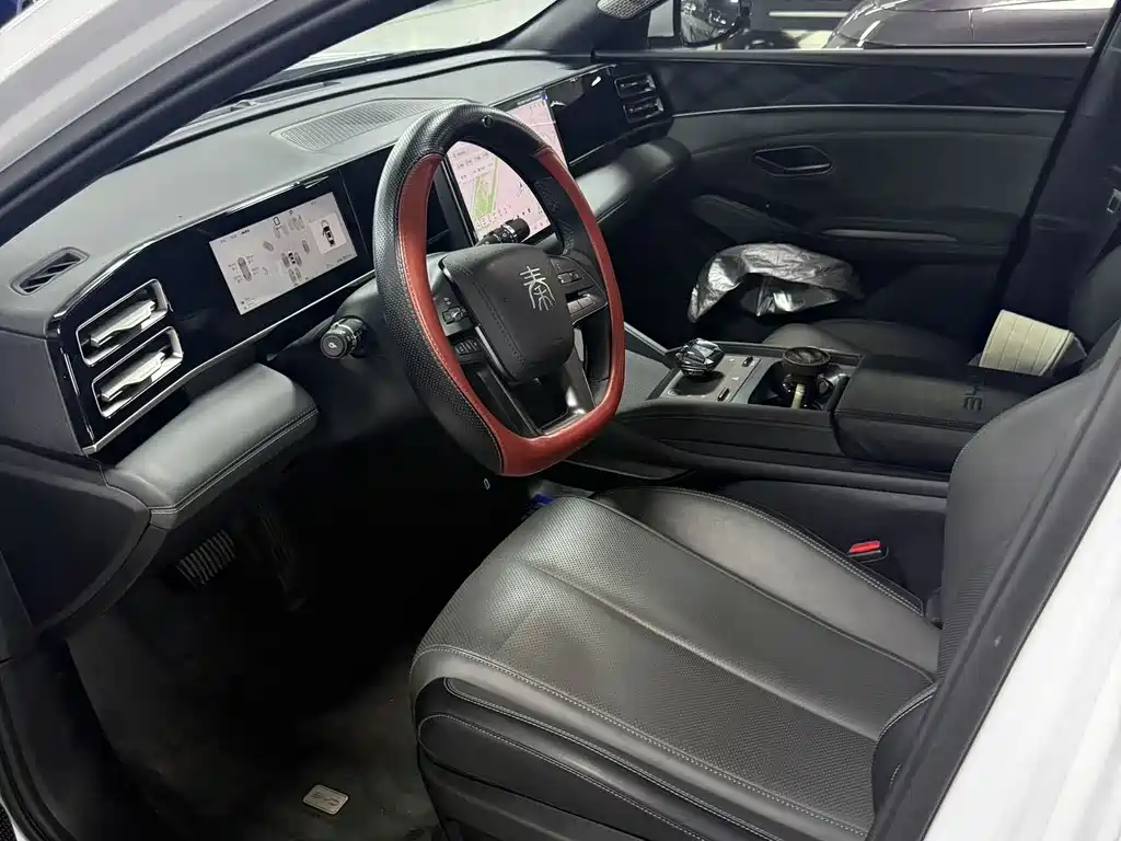 Qin L DM-i Smart Drive 80 KM Transcend