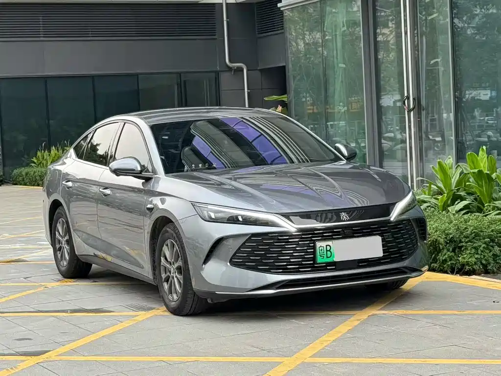 Qin L DM-i Smart Drive 80 KM Transcend