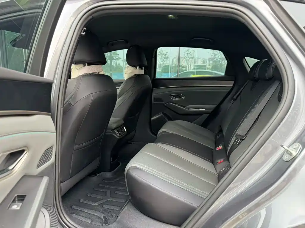 Qin L DM-i Smart Drive 80 KM Transcend