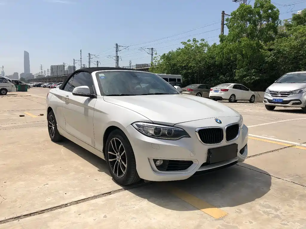 BMW 2 Series (Import) 218 i Convertible Coupe
