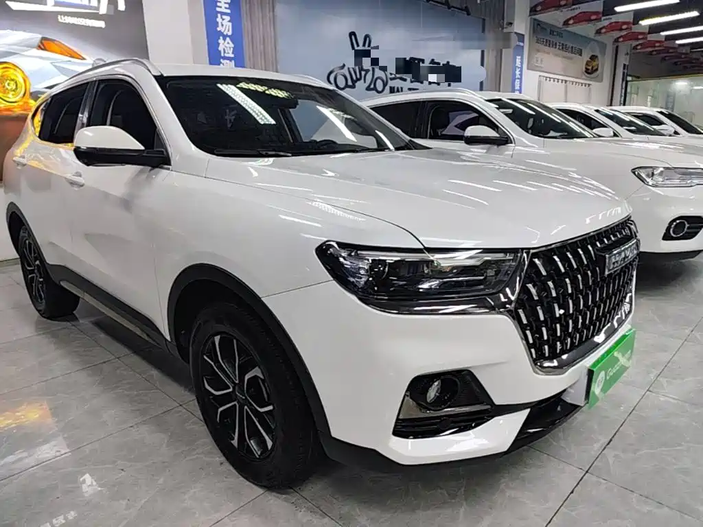 Haval H6 China Style 1.5 T Auto Urban
