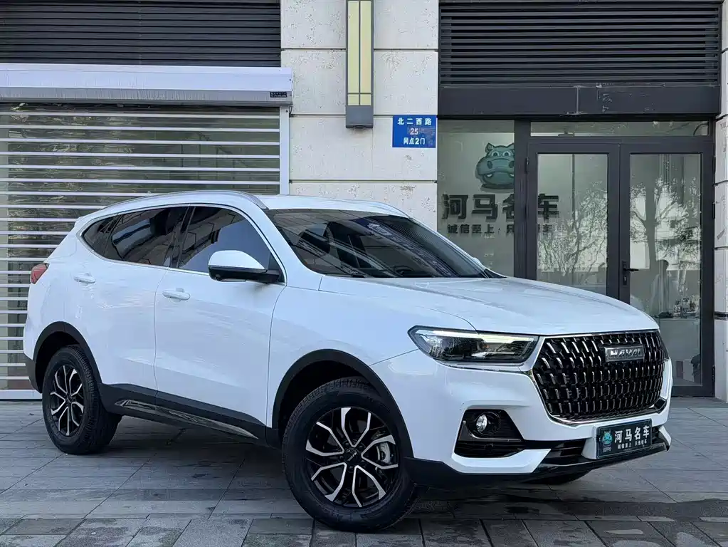 Haval H6 China Style 1.5 T Auto Urban