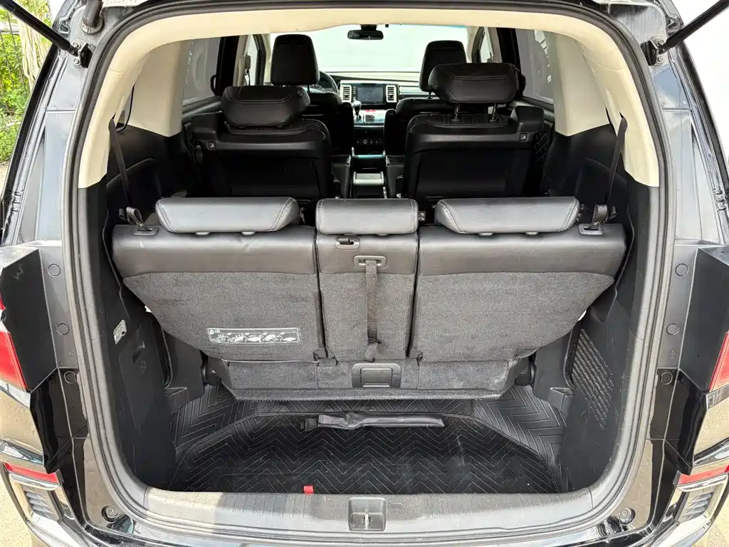 Elysion 2.0 L Hybrid Luxury