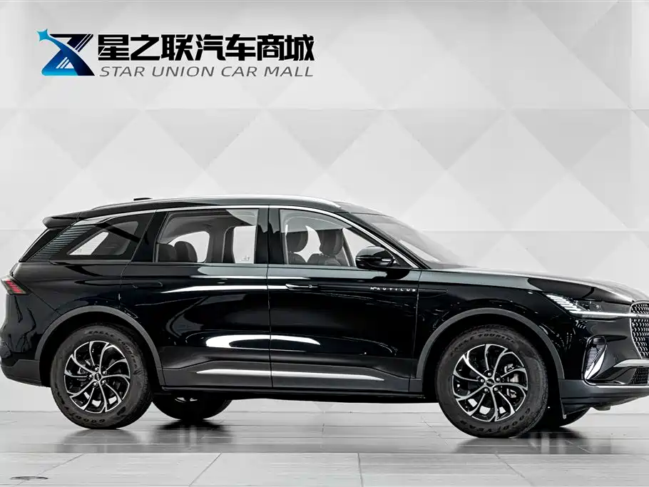 Nautilus 2.0 T 4 WD Premium