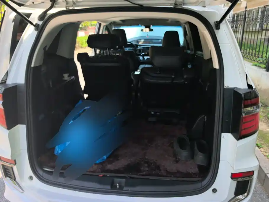Elysion 2.0 L Hybrid Luxury