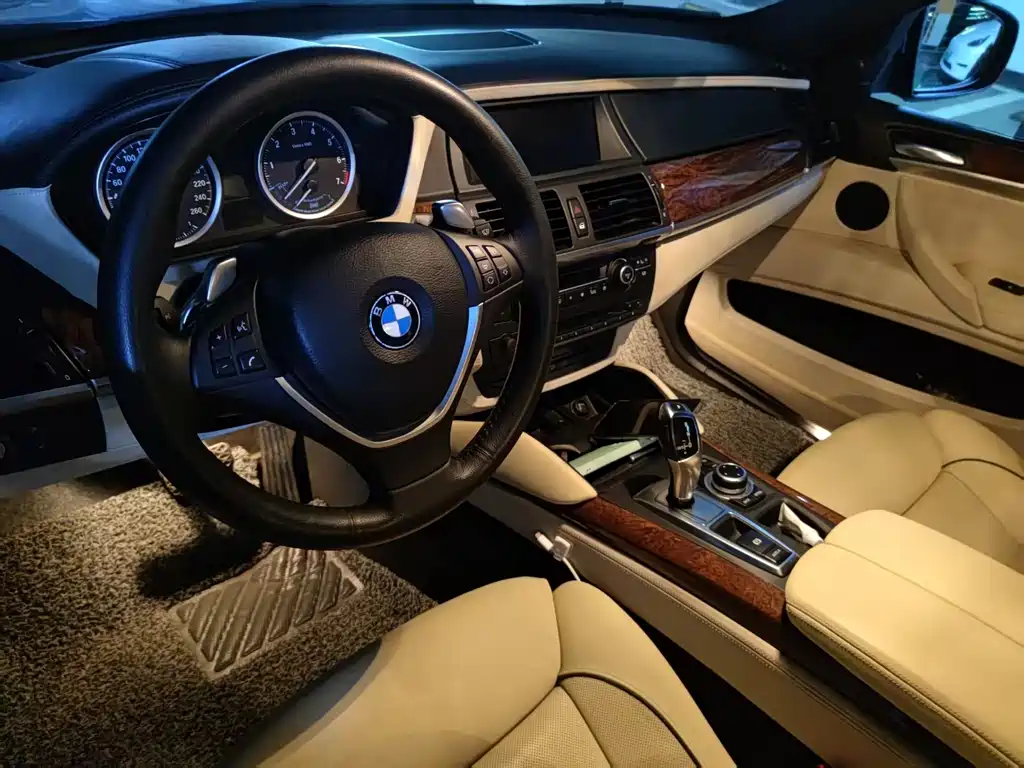 BMW X6 宝马X6 2010款 4.4 T 混合动力版