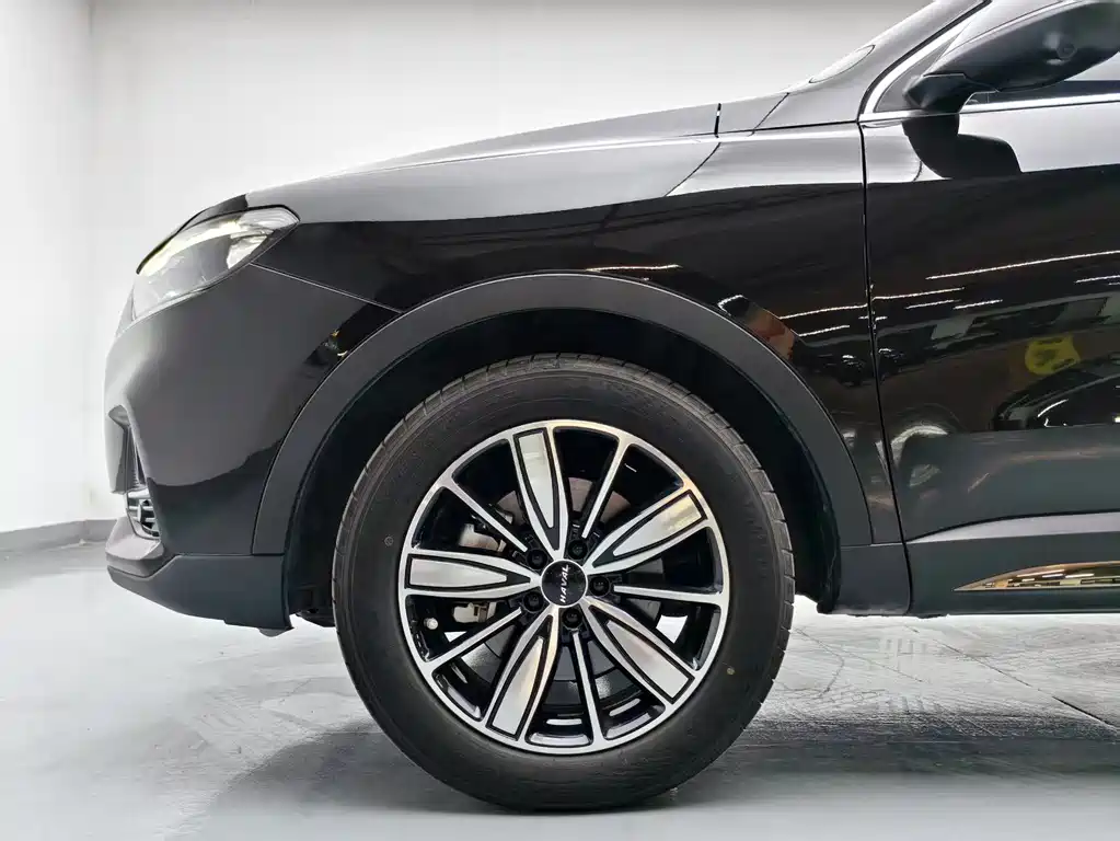 Haval H6 China Style 1.5 T Auto Champion