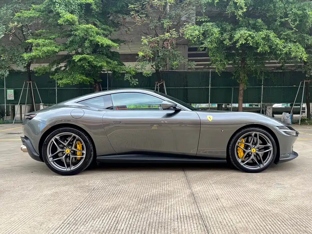 Roma 3.9 T V8