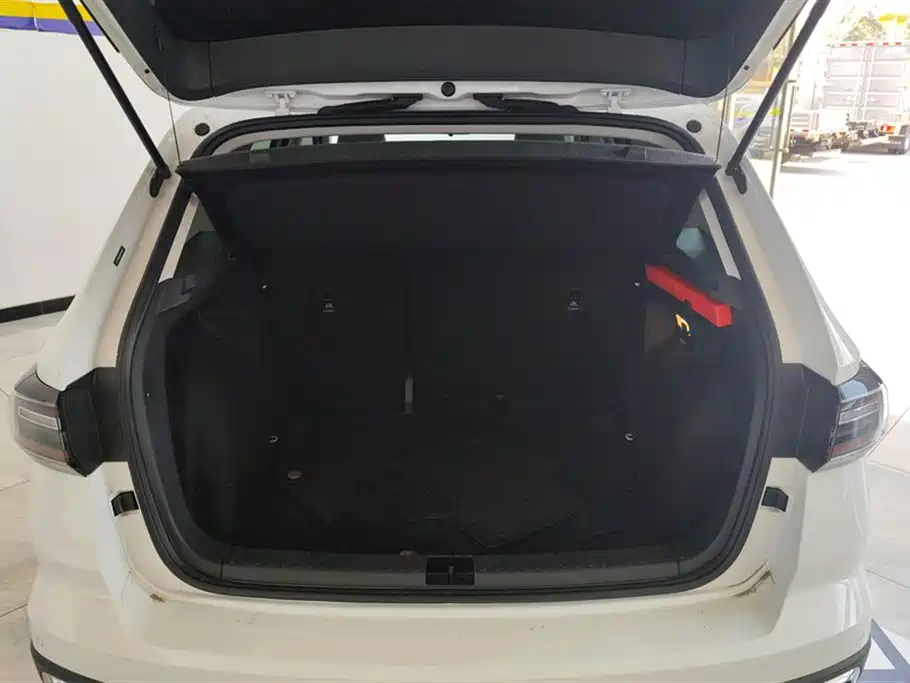 Tharu 300 TSI 2 WD Full Moon