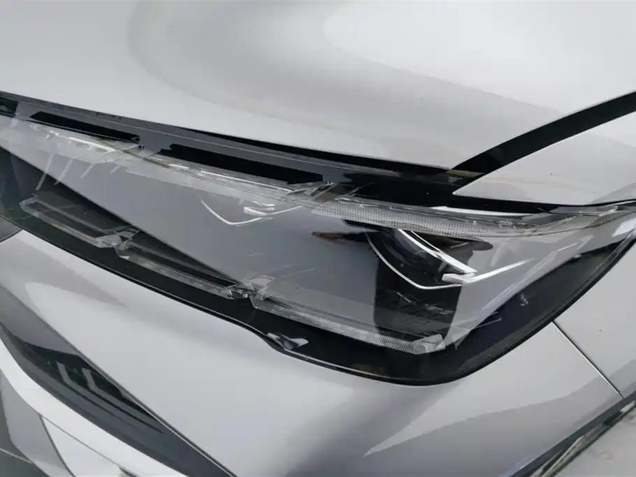 Xingyue L 2.0 TD High Power Auto 2 WD Skyline