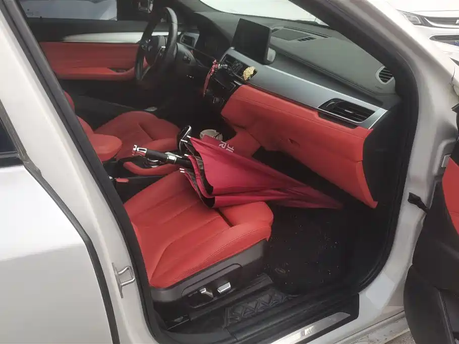 BMW X2 sDrive25 i Premium M Sport Package