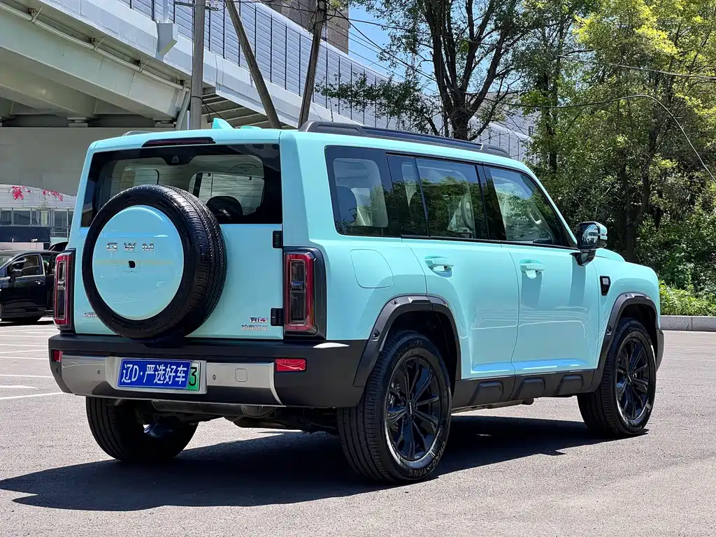 Haval Menglong NEV 哈弗猛龙新能源 2026款 Hi4 200 Ultra 三元锂