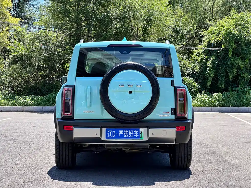 Haval Menglong NEV 哈弗猛龙新能源 2026款 Hi4 200 Ultra 三元锂