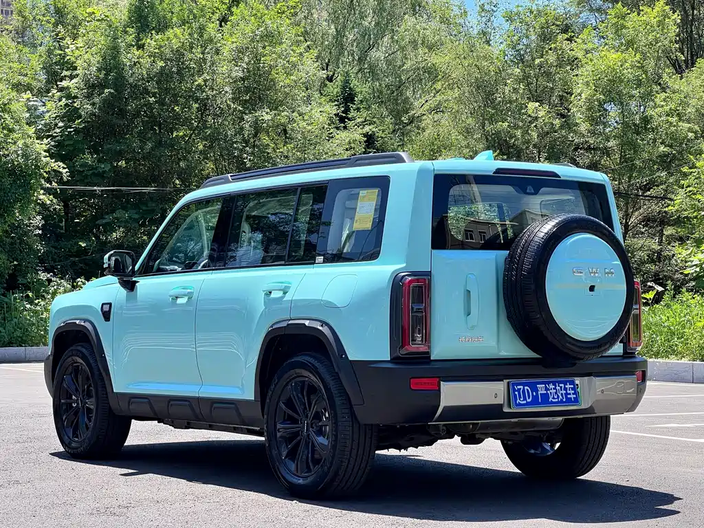 Haval Menglong NEV 哈弗猛龙新能源 2026款 Hi4 200 Ultra 三元锂