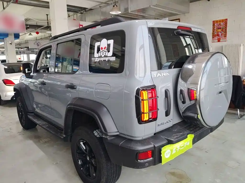 Tank 300 Offroad 2.0 T Conqueror