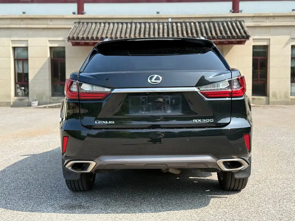 Lexus RX 300 4 WD Elegant CN-V