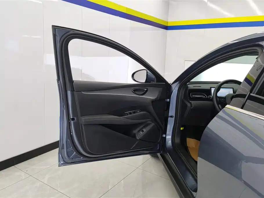 Seal 06 DM-i 120 KM Premium