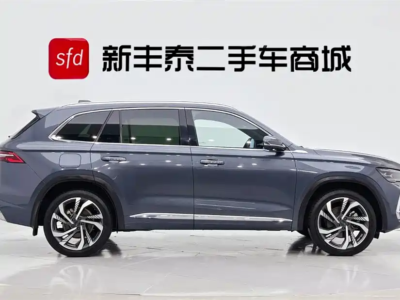 Xingyue L 2.0 TD High Power Auto 2 WD Skyline