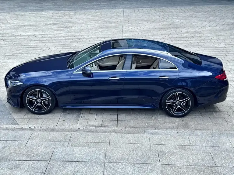 Mercedes-Benz CLS CLS 300 Luxury