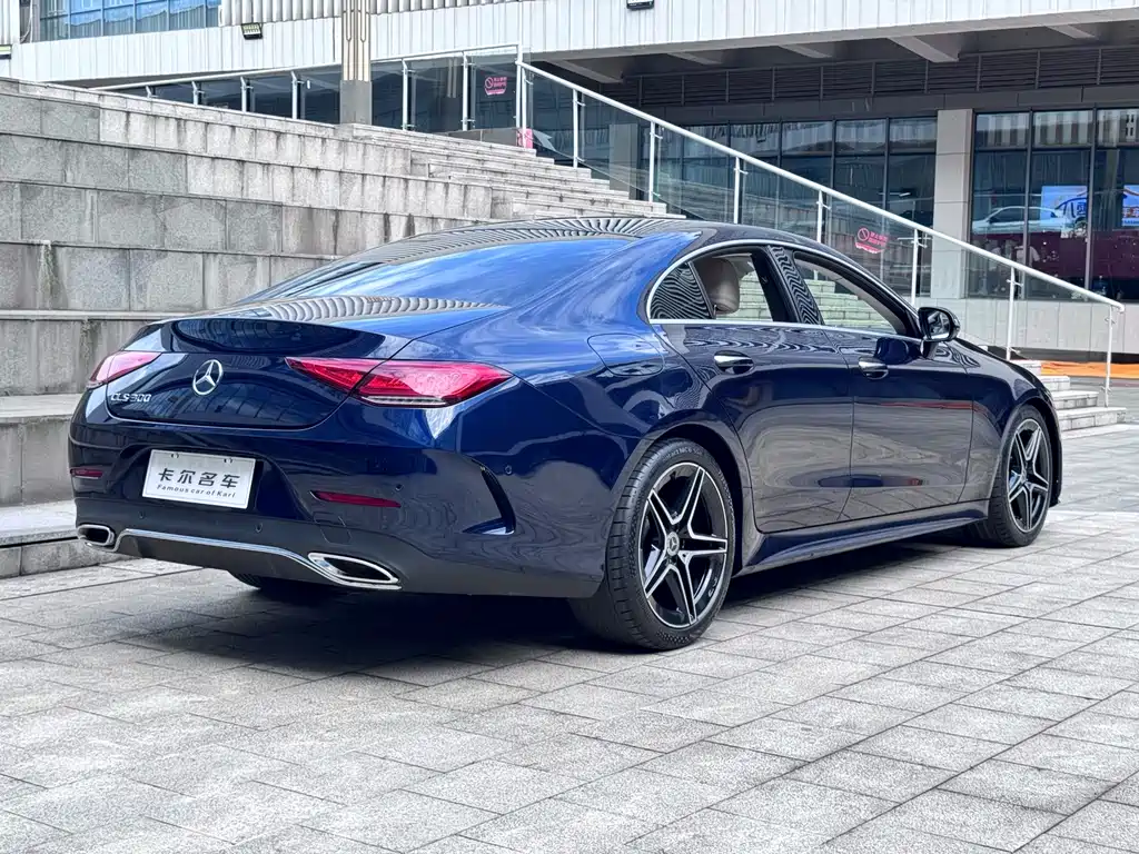 Mercedes-Benz CLS CLS 300 Luxury