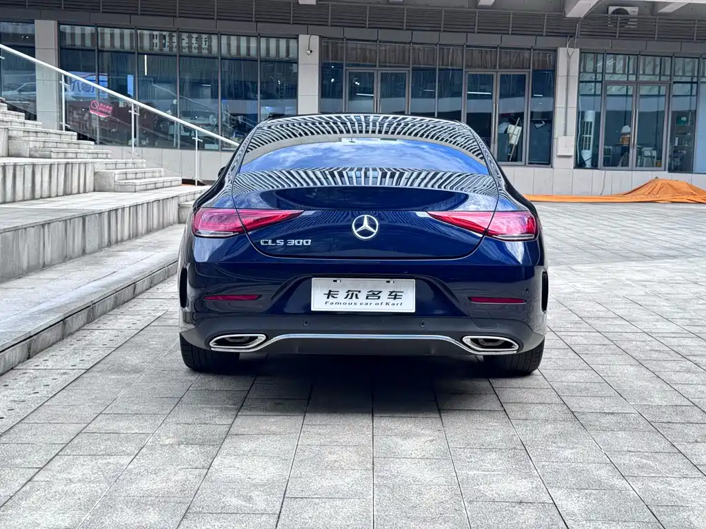 Mercedes-Benz CLS CLS 300 Luxury