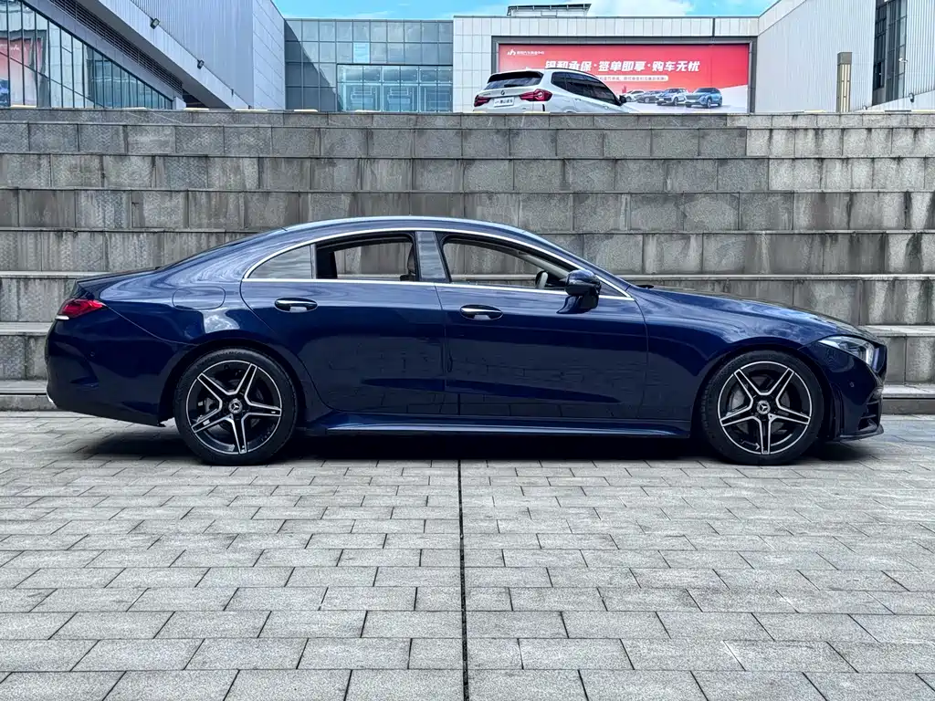 Mercedes-Benz CLS CLS 300 Luxury