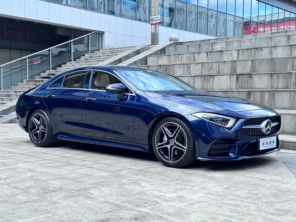 Mercedes-Benz CLS CLS 300 Luxury