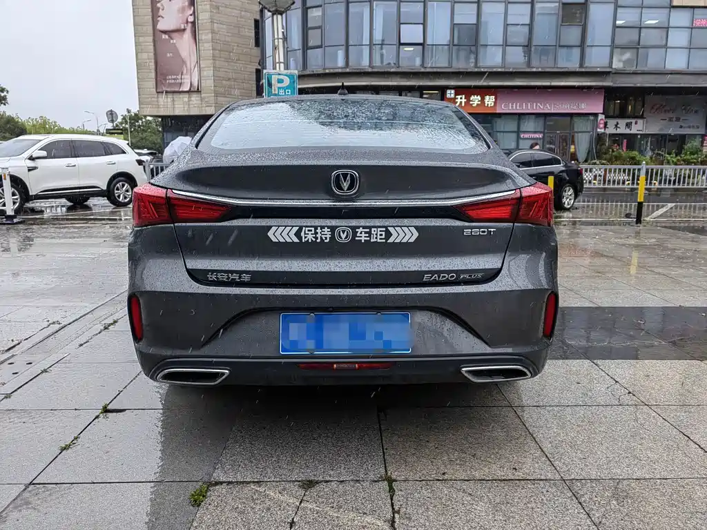 Eado PLUS Blue Whale NE 1.4 T GDI DCT Distinguished