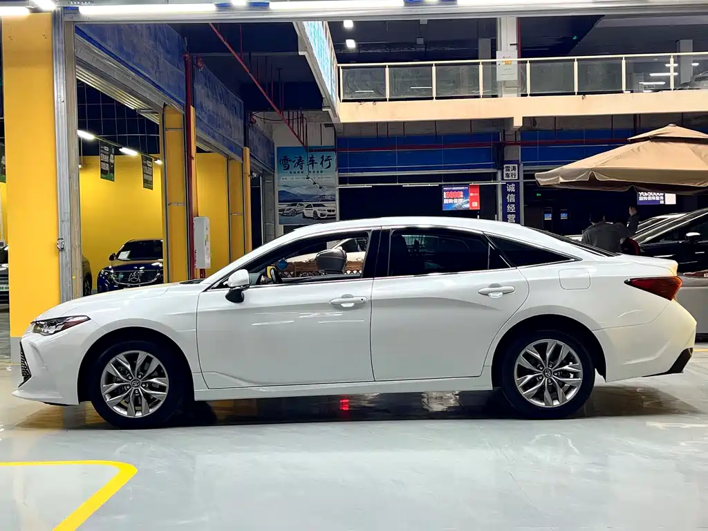 Avalon 2.0 L Progressive CN-VI