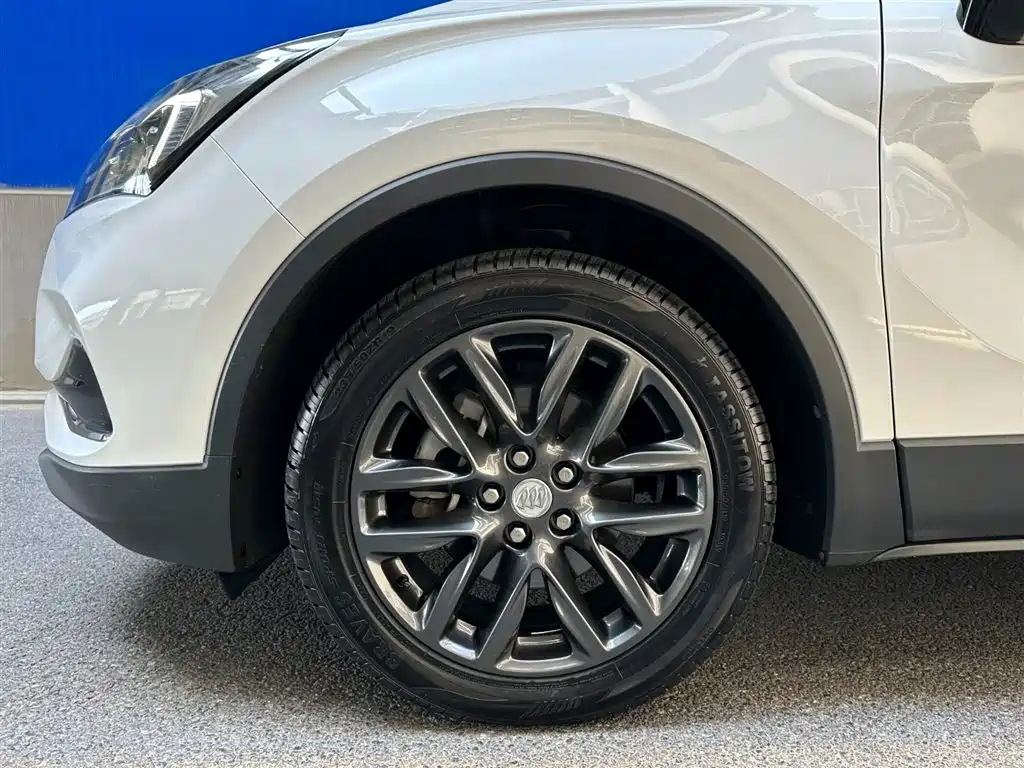 Envision Plus 昂科威Plus 2020款 28 T 四驱百万纪念型