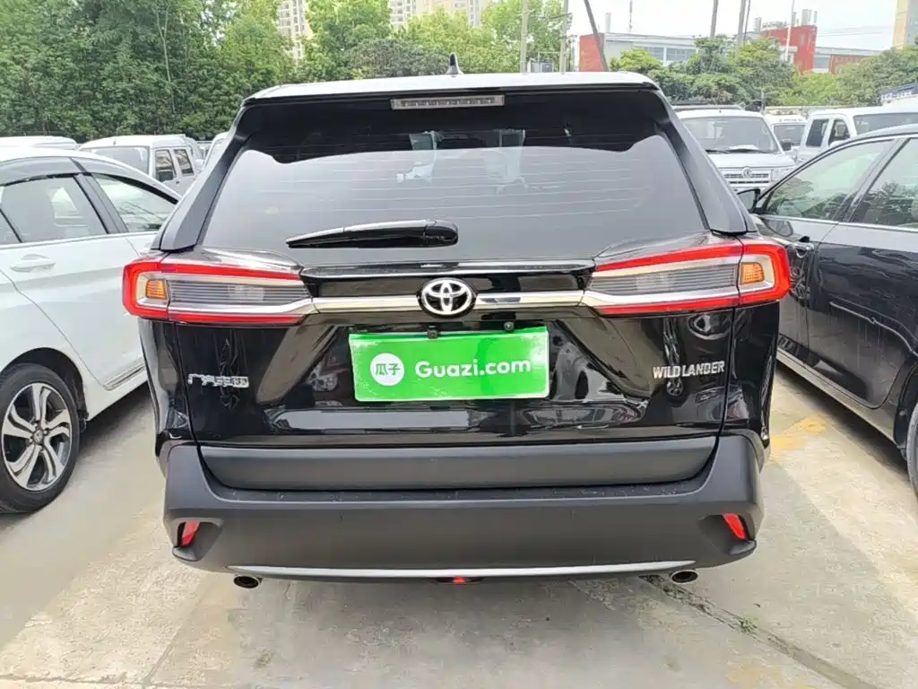 Wildlander 2.0 L CVT 2 WD Leading