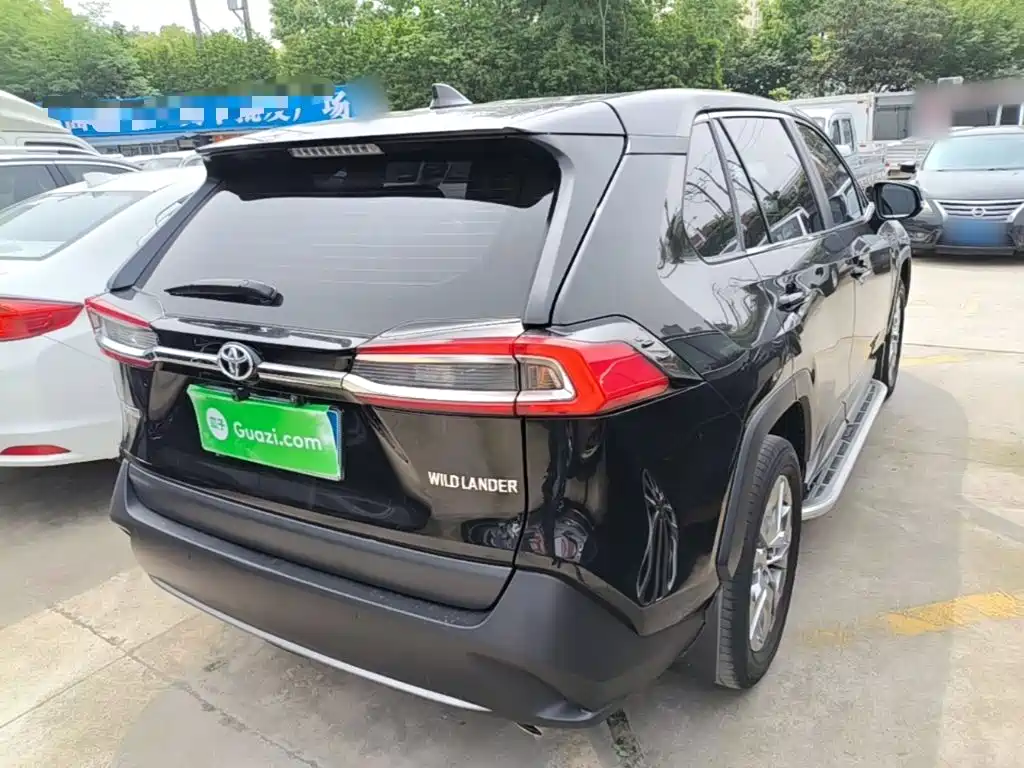 Wildlander 2.0 L CVT 2 WD Leading