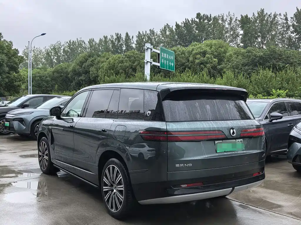 Denza N9 Flagship