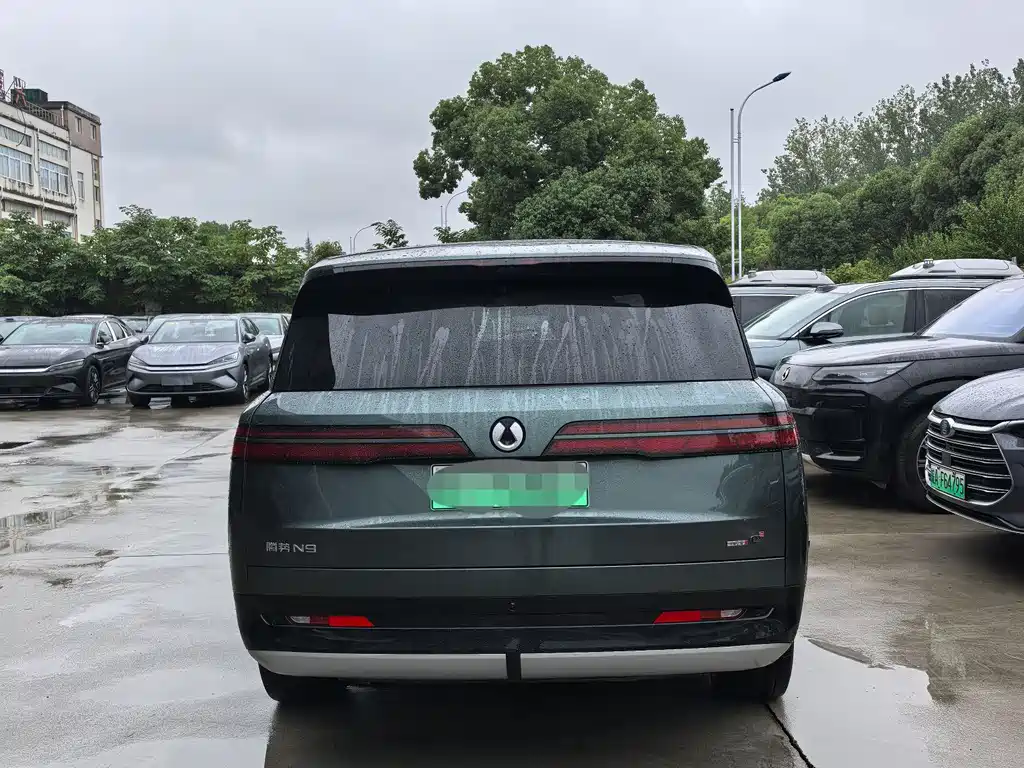 Denza N9 Flagship