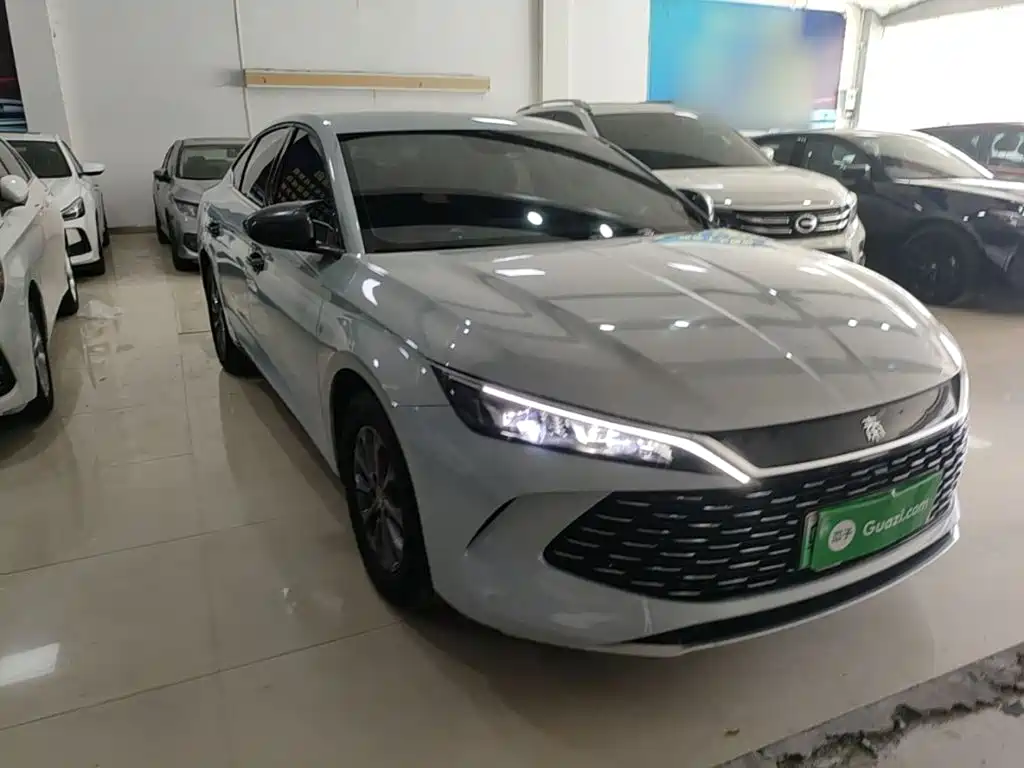 Qin L DM-i 80 KM Leading